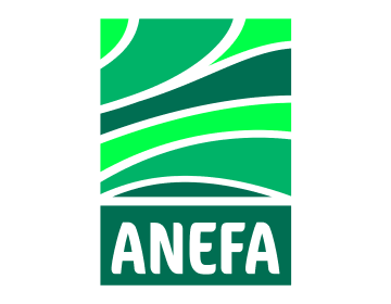 Anefa