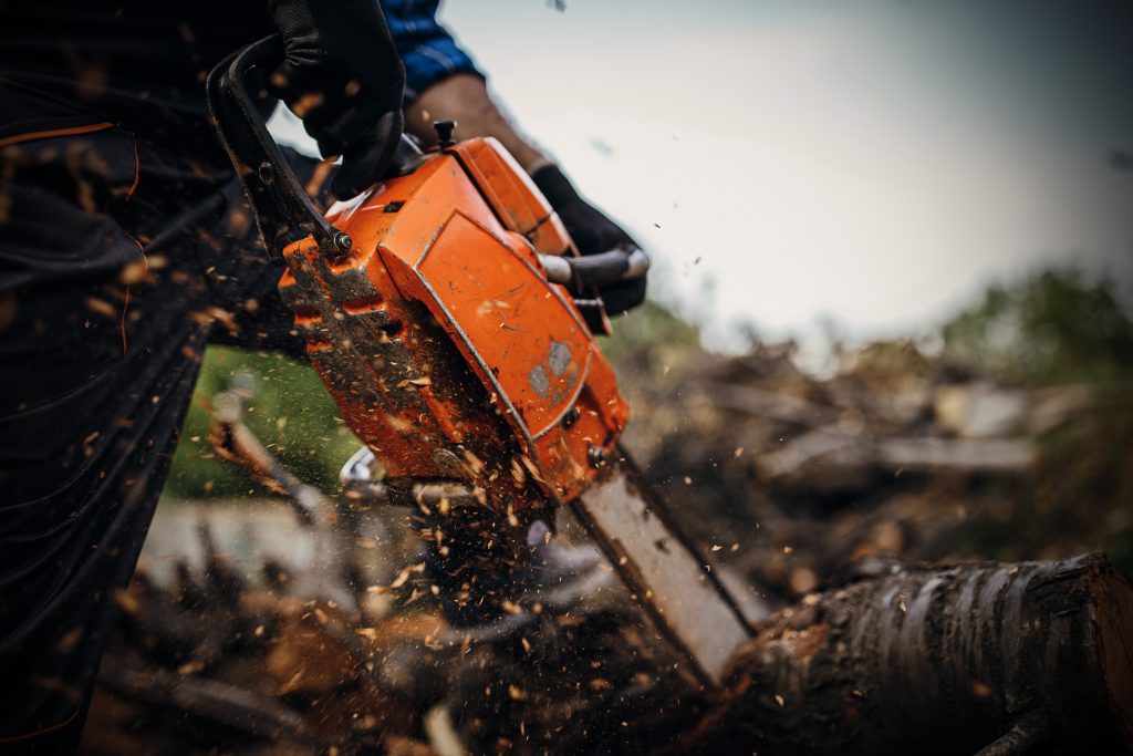 Forêt, bûcheronnage, sylviculture
